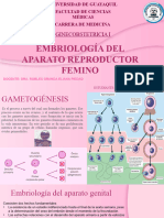 Embriología y Anatomia del Sistema Genital Femenino