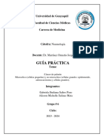 Guia Practica - Cancer de Pulmon