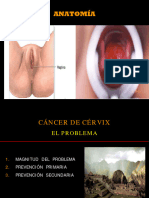Cancer - de - Cervix1 - Semana 9