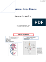 06 - Sistema Circulatório