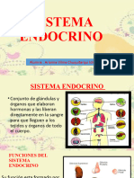 Sistema Endocrino Arianna Vilma Chuquitarqui Idme