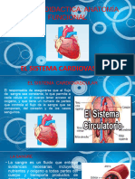 El Sitema Cardiovascular Exposicion