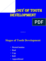 Histology of Tooth Development