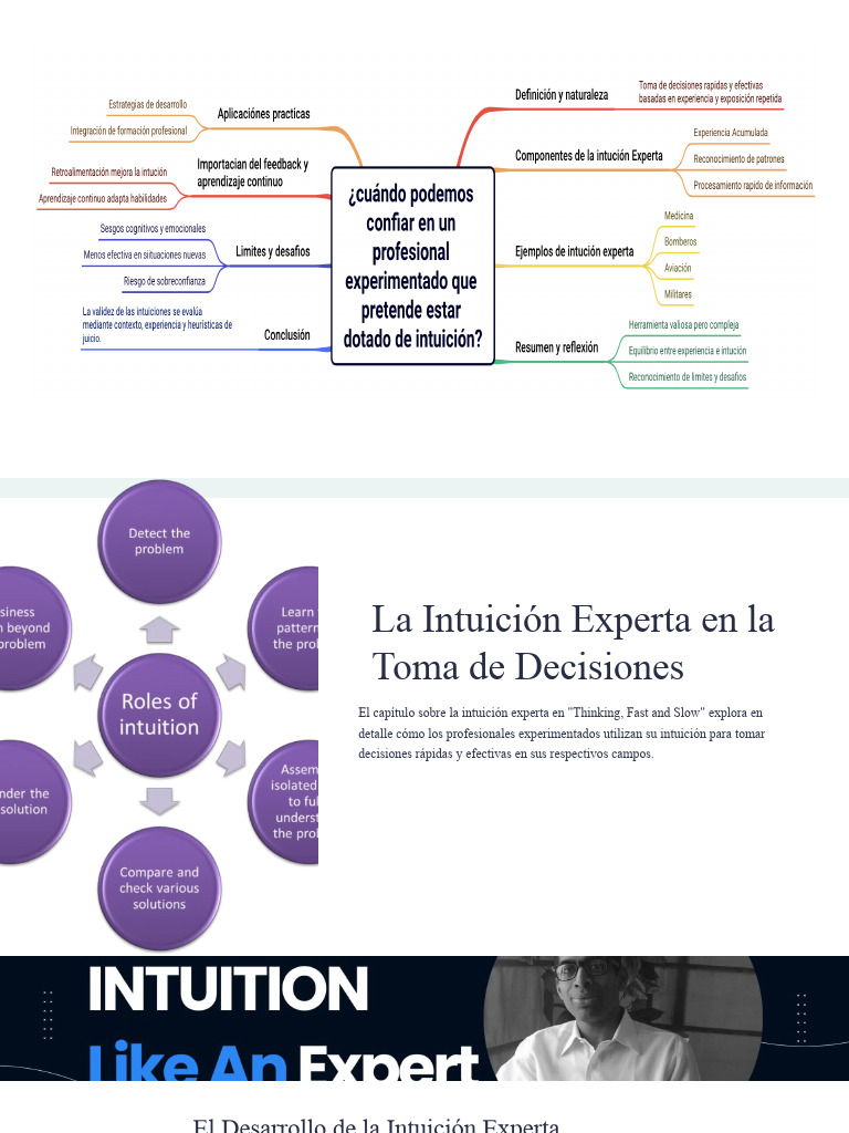 La Intuicion Experta en La Toma de Decisiones | PDF | Intuición | Toma ...