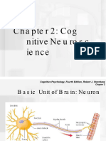 Chapter 2 Cognitive Neuroscience
