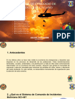 Presentacion Sci Casuarios 021