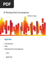 T-SP4-IP Routing Fast Convergence-Miloslav Kopka