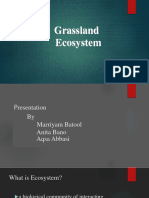 Grasslandecosystem 180928145815