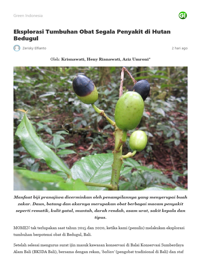 eksplorasi-tumbuhan-obat-segala-penyakit-di-hutan-bedugul-green