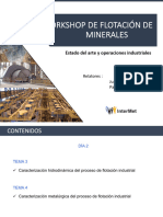 Tema 4. Caracterización Metalúrgica Del Proceso de Flotación Industrial (02 Agosto 2022)