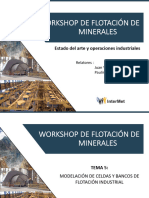 Tema 5. Modelación de Celdas y Bancos de Flotación Industrial SP (3 Agosto 2022)