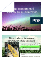 Are Porumb Cu Aflatoxine