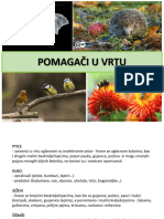 P 7b Pomagaci U Vrtu ST