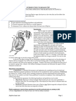 02 161 Daphnia1 F21