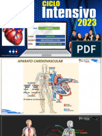 Aparato Cardiovascular