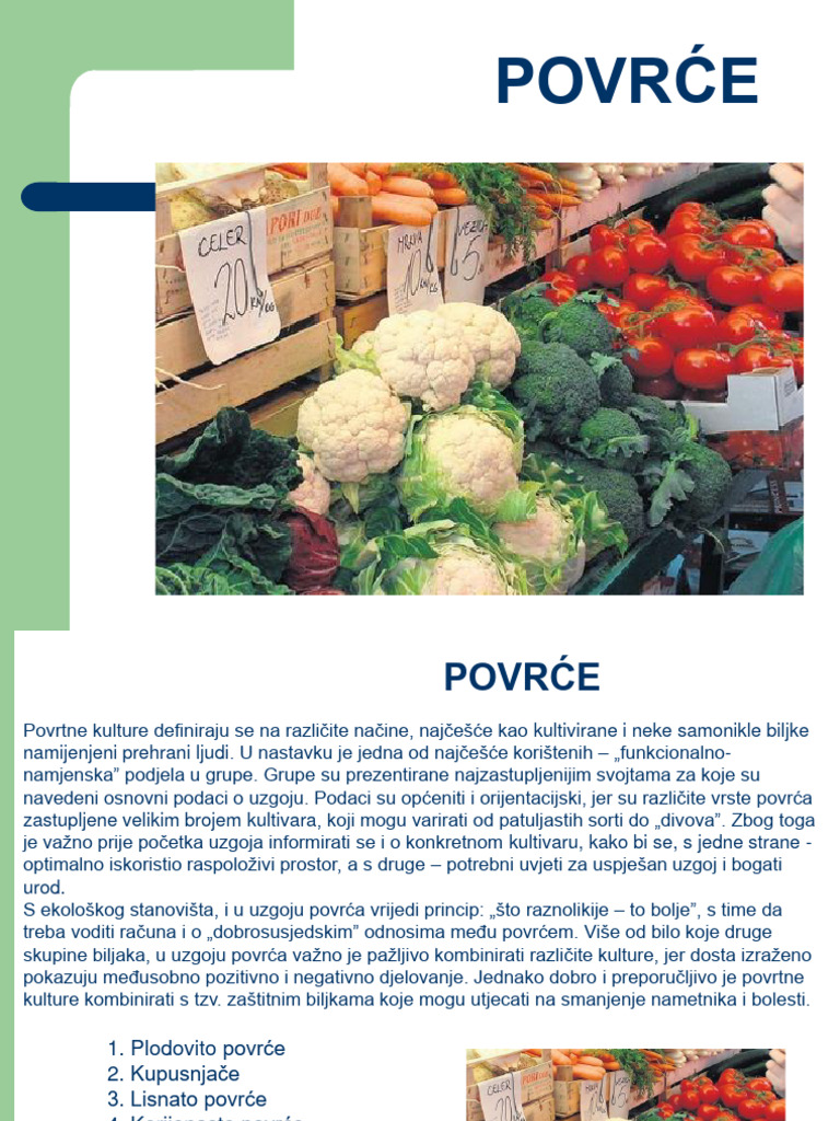 P 6a Povrce ST | PDF