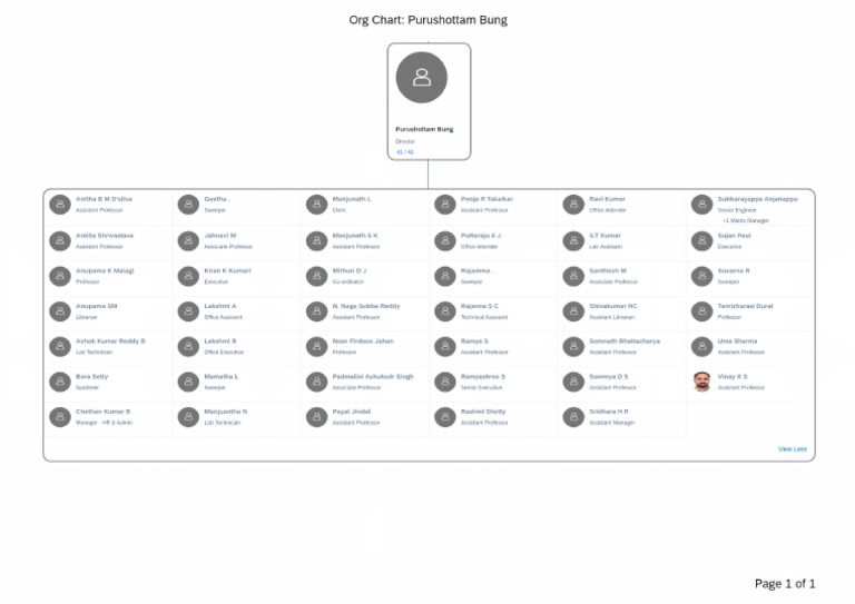 Org Chart Pdf