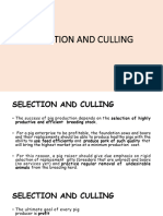 8 - Selection and Culling