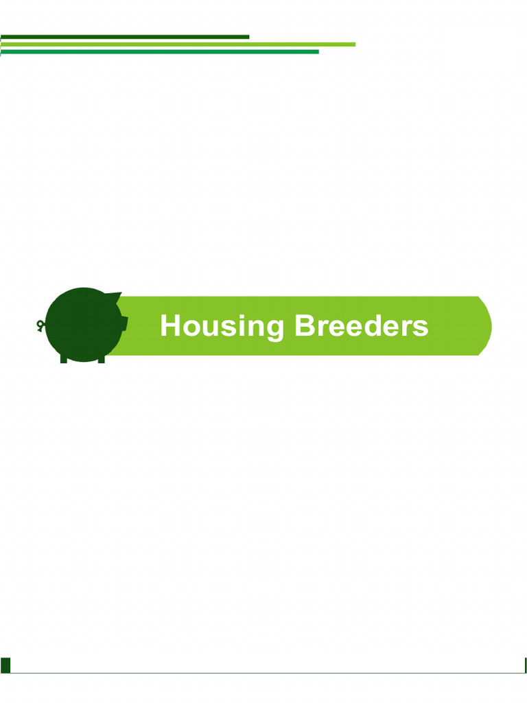 17 Housing Breeders PDF Pig Concrete