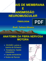 Potenciais e Transmissão Neuro-Muscular