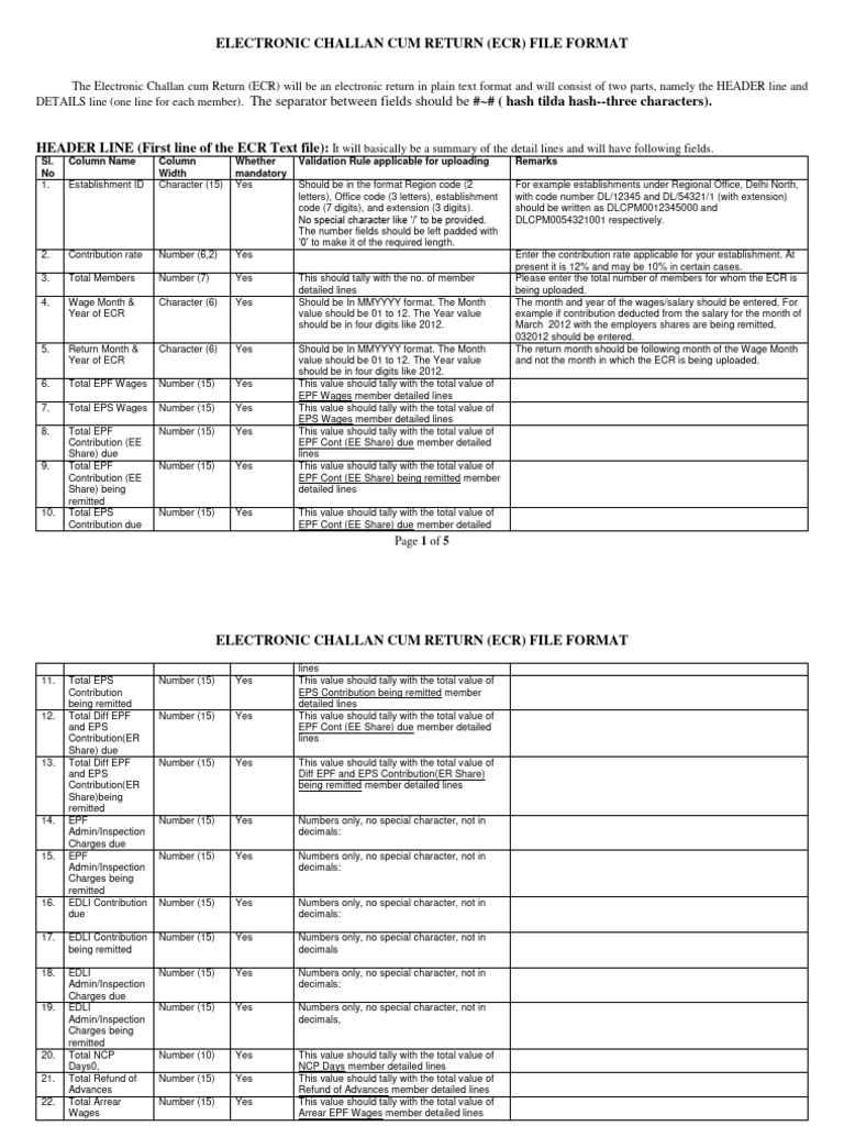 ECR File Format for EPF Statements | PDF