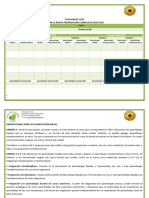 Formato Plan Anual 2024