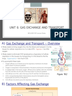 Unit 6 Notes - Gas Exchange and Transport