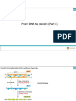 Chapter 7 Part I - BIOL2520-2