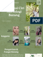 Responsi Ciri Morfologi Batang Kel. 4