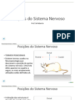 Aula - 4 - Posições Do Sistema Nervoso