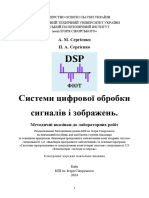 Sergiyenko DSP System Labs