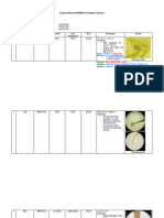 30-08-2023 Laporan Harian PPDH Parasitologi Veteriner - Docx 3