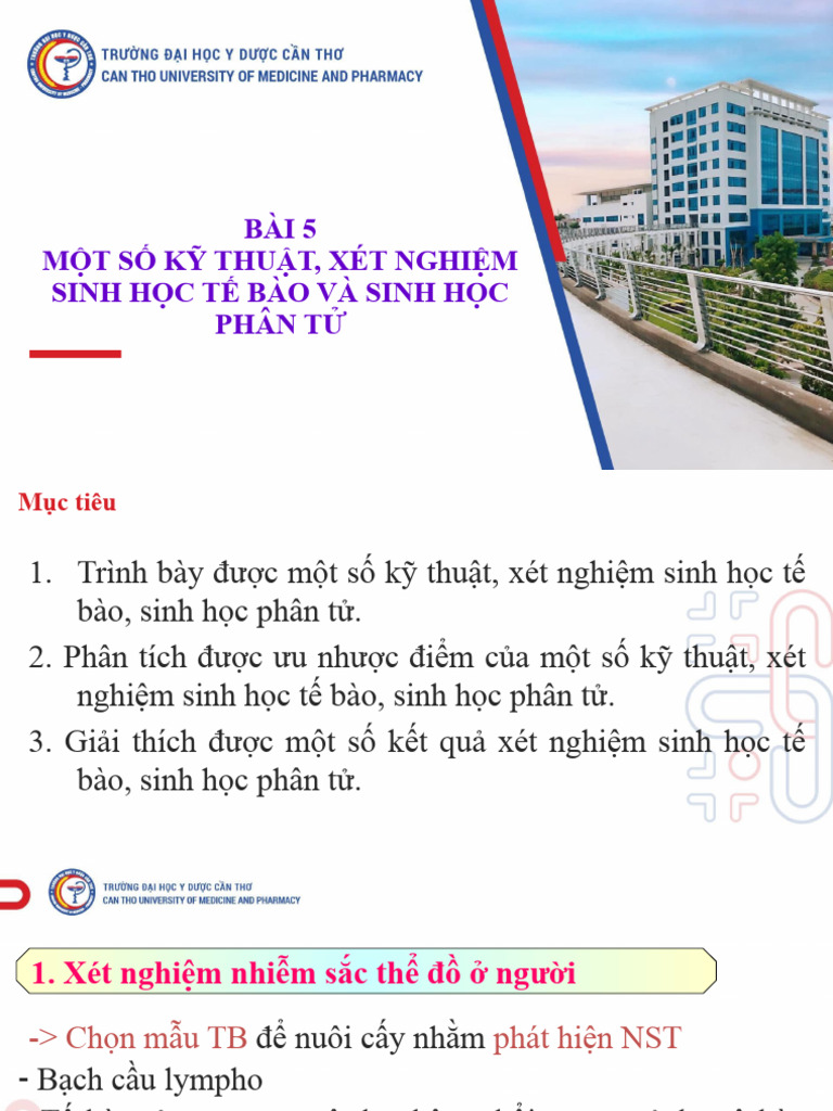 Bai 5 | PDF