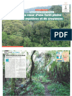 L29 Mai 2023 La Forêt de Kibira Au Burundi