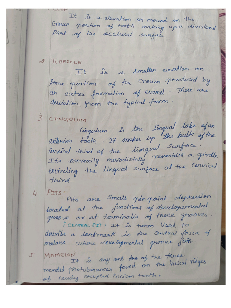 DENTAL ANATOMY LECTURE NOTES PDF visual data 3