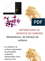 Expos 8 Metabolismo de Hidr Carb PPT Exposicion