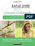 Pineau Laurine-Le Grand Livre de La Gemmothrapie - Bourgeons