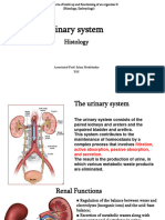 Body System II 6 Urinary 1