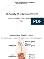 Body System II 3 Digest 1