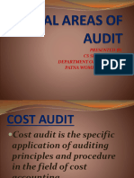 Special Areas of Audit