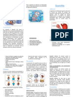 Triptico PDF