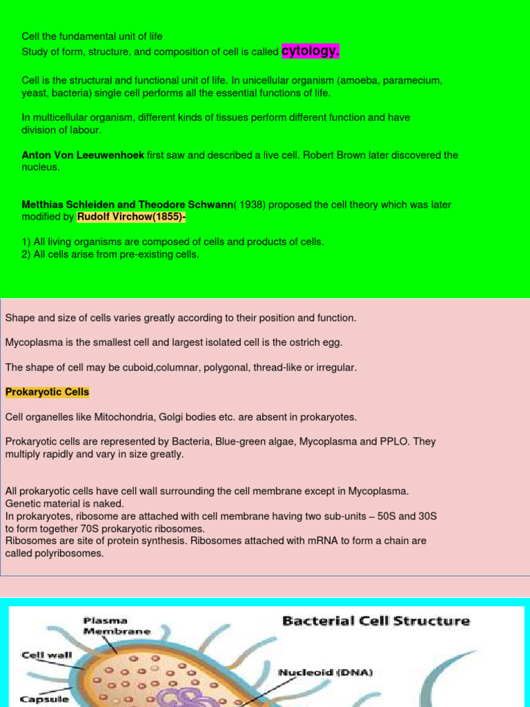 Online Merger Of Ppt To Pdf