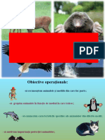 mediile_de_viata_ale_animalelor