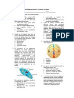 Prueba Diagnostica Grado Septimo