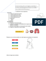 Tarea de Ciencia - Explicamos Como Respiramos