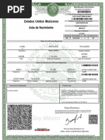 Verificación de Actos Registrales en CEVAR | PDF | Gobierno y ...