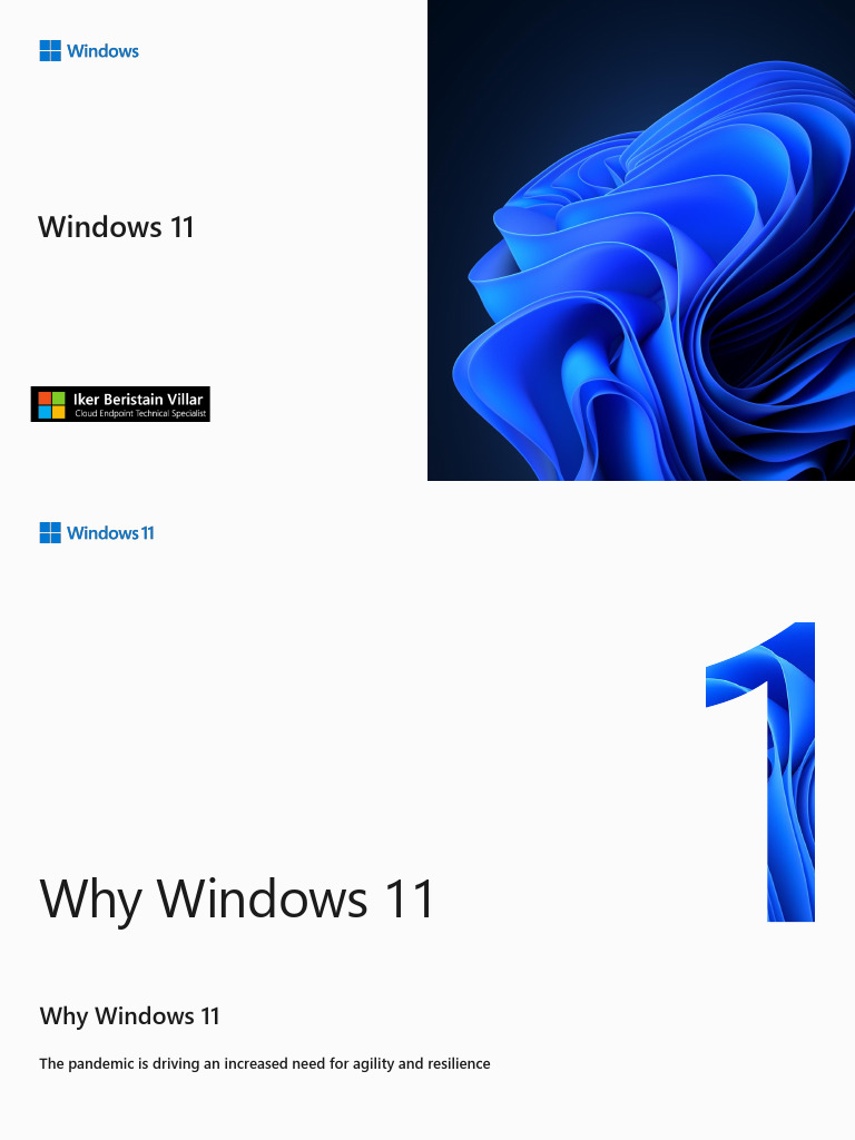 Quickbooks Pdf Windows 11