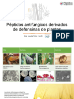 Workshop-Péptidos Antifúngicos Derivados de Defensinas de Plantas