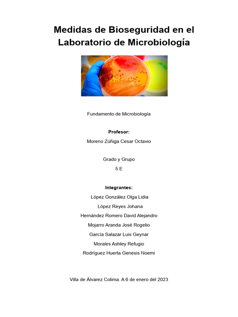 Bioseguridad en Laboratorio Escolar | PDF | Laboratorios ...