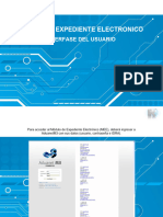 AduanetM3 MEE Interfase Usuario